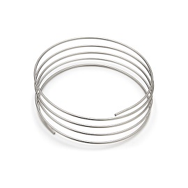 SS Tubing, 130cm OD1/16 Inch ID 0.005 Inch foto del producto