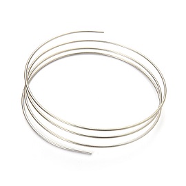 SS Tubing, 65cm OD1/16 Inch ID 0.005 Inch foto del producto