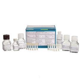 DNA 20 kb Plasmid and Linear kit foto del producto