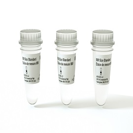 Molecular Weight Sizing Standard - 3 Pack foto del producto